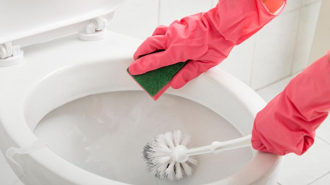 how to sanitize a toilet brush